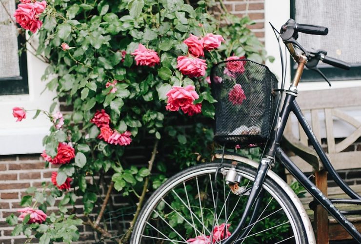 Mastering Your Ride: How to Shift Bicycle Gears Correctly for Smooth Cycling