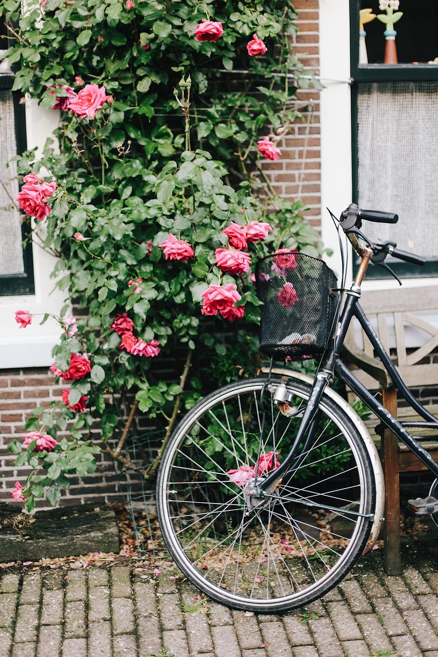 Mastering Your Ride: How to Shift Bicycle Gears Correctly for Smooth Cycling
