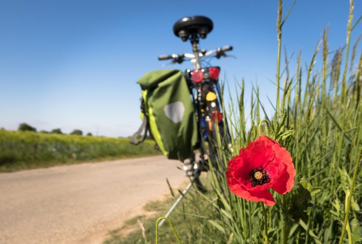 Top Picks for the Best Hybrid Bikes: Find Your Perfect Ride for City and Trail