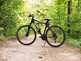 Trek FX vs. Specialized Sirrus: Unveiling the Best Fitness Bike for Your Urban Adventures