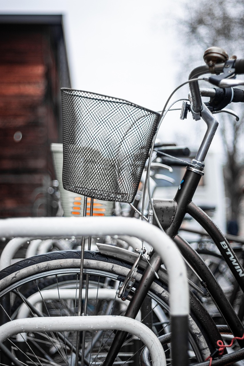 Best Road Bikes for Long-Distance Cycling: A Guide to Premium Models