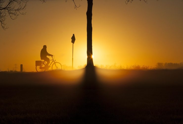 Mastering the Basics: An Essential Guide on How to Ride a Bicycle for Beginners